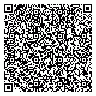 vCard 79585100187