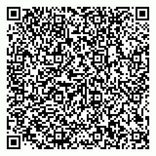 vCard 79585100190
