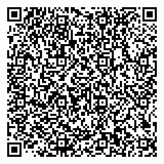 vCard 79585100194