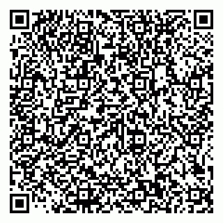 vCard 79585100196