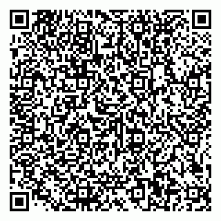 vCard 79585100199