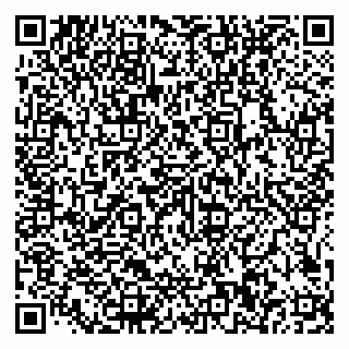 vCard 79585100200