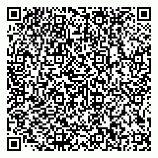 vCard 79585100201