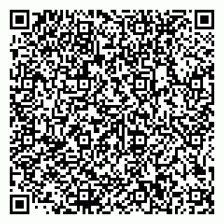 vCard 79585100203