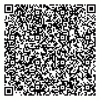 vCard 79585100204