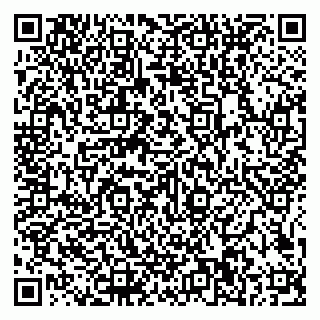 vCard 79585100205