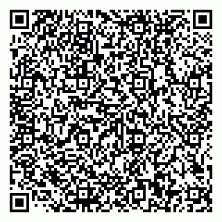 vCard 79585100208