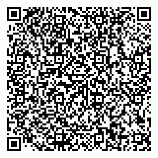 vCard 79585100209