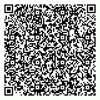 vCard 79585100211