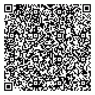 vCard 79585100213