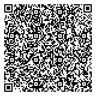 vCard 79585100218