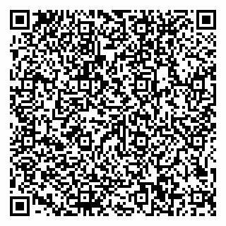 vCard 79585100219
