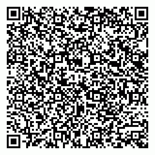 vCard 79585100220
