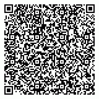 vCard 79585100221