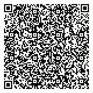 vCard 79585100223