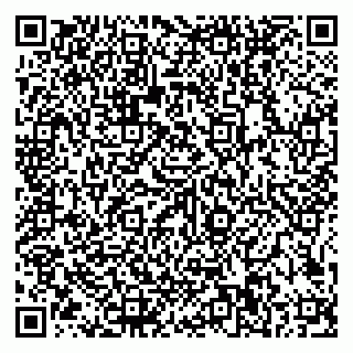 vCard 79585100225