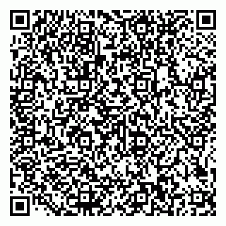 vCard 79585100231