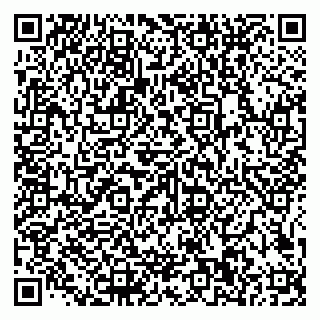 vCard 79585100234