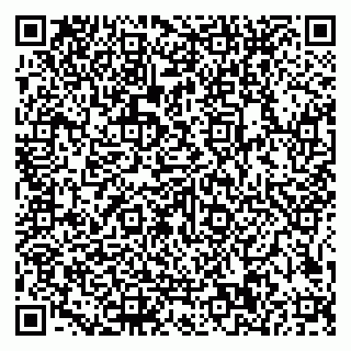 vCard 79585100236