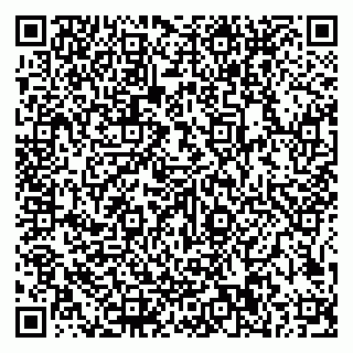 vCard 79585100237