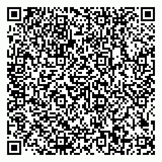 vCard 79585100239