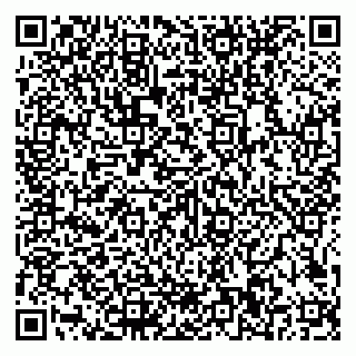 vCard 79585100241