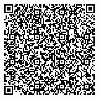 vCard 79585100242