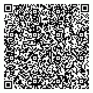 vCard 79585100243
