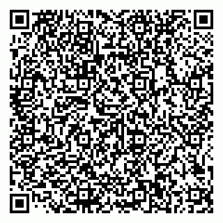 vCard 79585100245