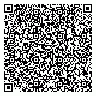 vCard 79585100246