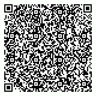 vCard 79585100256