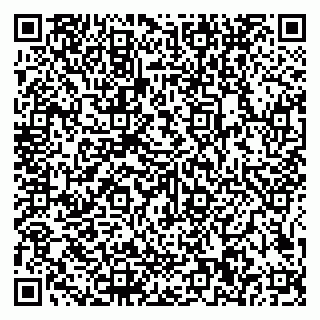 vCard 79585100260