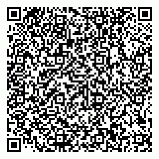 vCard 79585100261