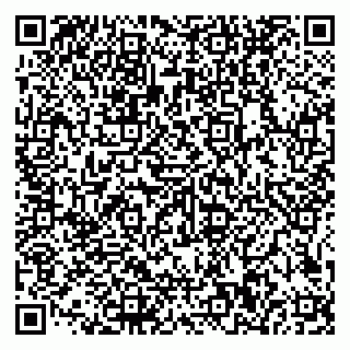 vCard 79585100262
