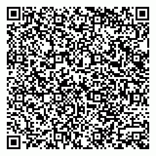 vCard 79585100263