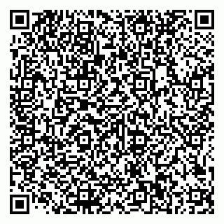 vCard 79585100265