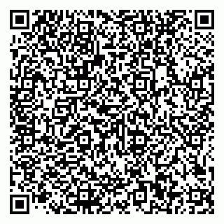 vCard 79585100268