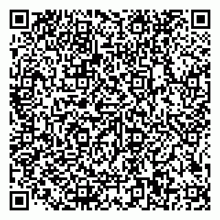 vCard 79585100269