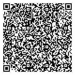 vCard 79585100270