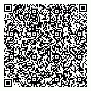 vCard 79585100271