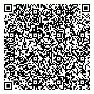 vCard 79585100275