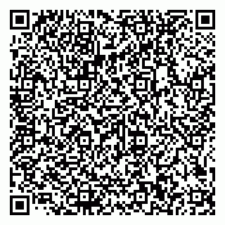 vCard 79585100280