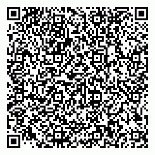 vCard 79585100282