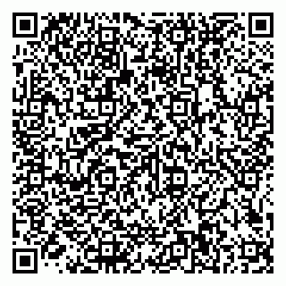 vCard 79585100285