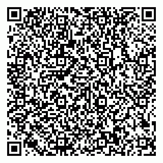 vCard 79585100286