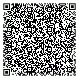 vCard 79585100287