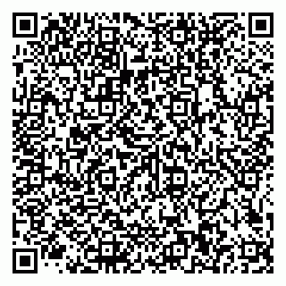 vCard 79585100290