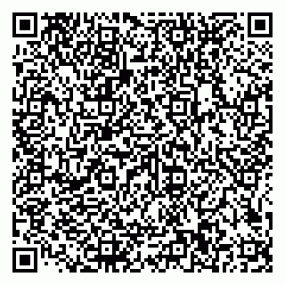 vCard 79585100291