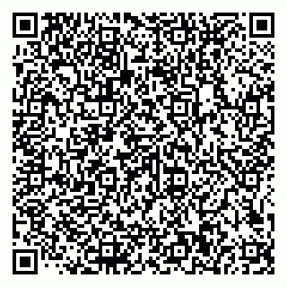 vCard 79585100292