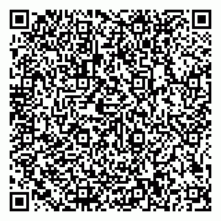 vCard 79585100293